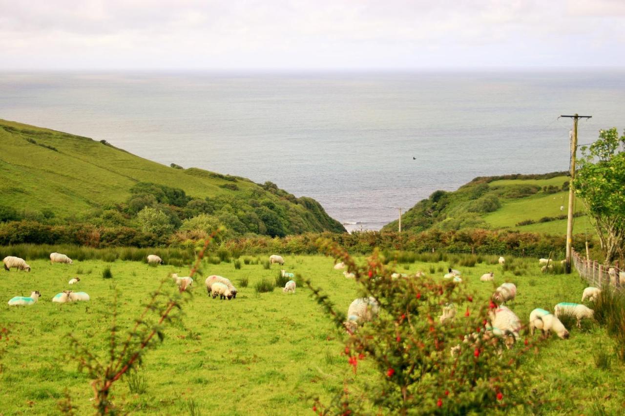 غرينكاسيل Wild Atlantic View Inishowen المظهر الخارجي الصورة